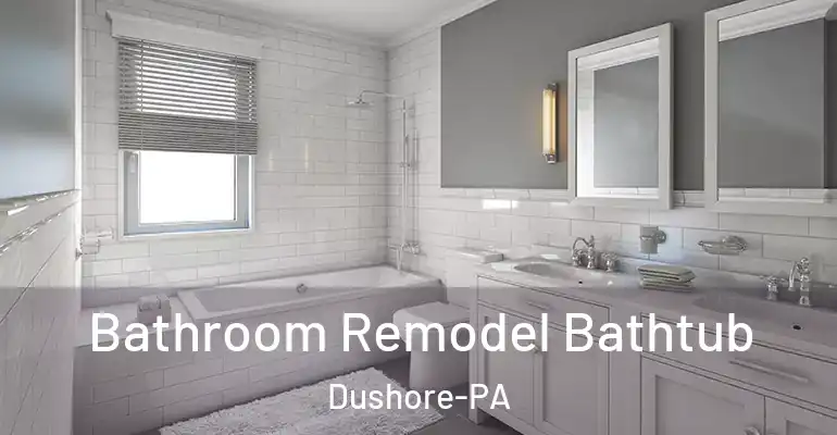 inner Bathroom imggen Bathroom Remodel Bathtub Dushore-PA