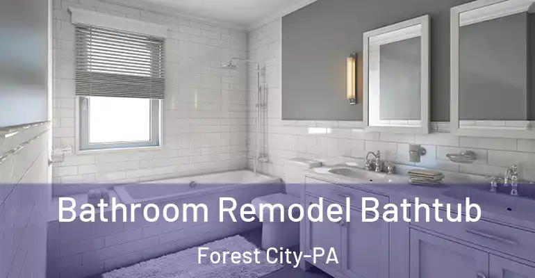 inner Bathroom imggen Bathroom Remodel Bathtub Forest City-PA