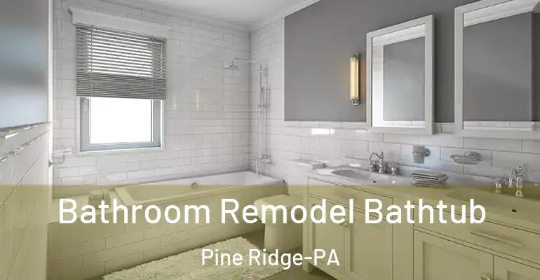 inner Bathroom imggen Bathroom Remodel Bathtub Pine Ridge-PA