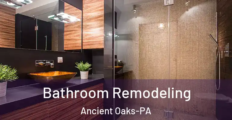 inner Bathroom imggen Bathroom Remodeling Ancient Oaks-PA