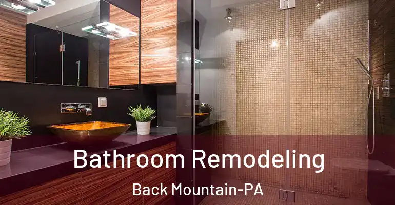 inner Bathroom imggen Bathroom Remodeling Back Mountain-PA