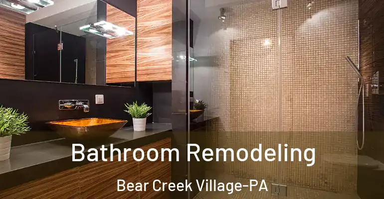 inner Bathroom imggen Bathroom Remodeling Bear Creek Village-PA