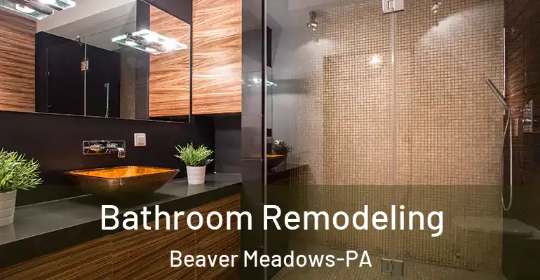 inner Bathroom imggen Bathroom Remodeling Beaver Meadows-PA