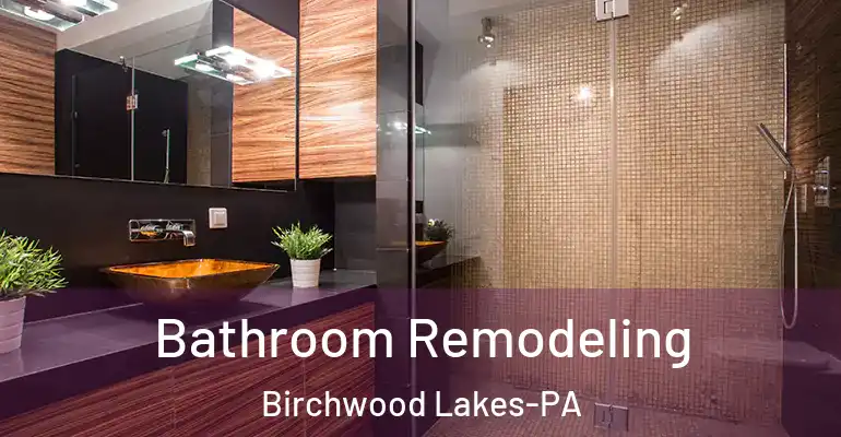 inner Bathroom imggen Bathroom Remodeling Birchwood Lakes-PA