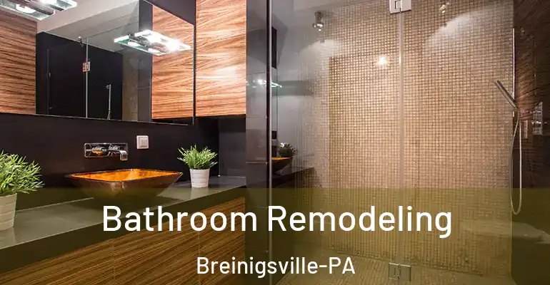 inner Bathroom imggen Bathroom Remodeling Breinigsville-PA