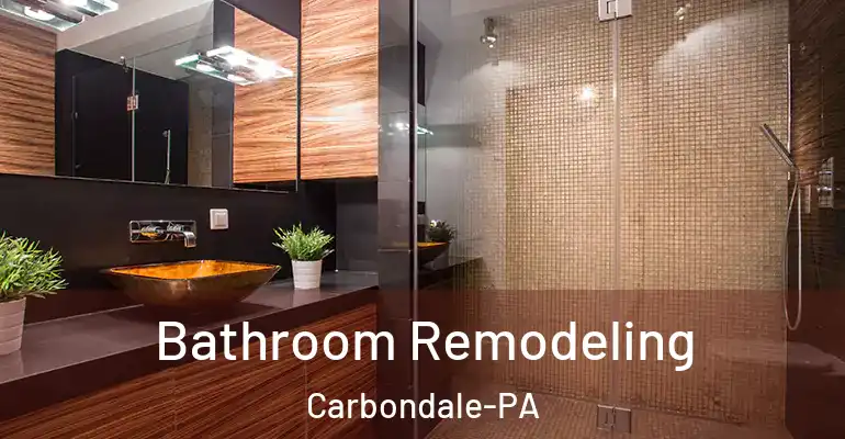 inner Bathroom imggen Bathroom Remodeling Carbondale-PA