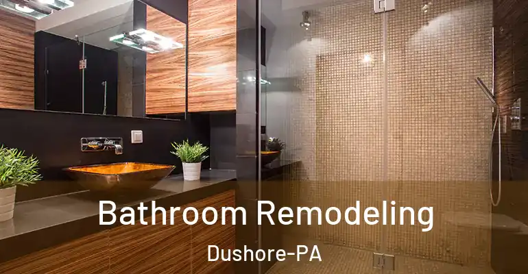 inner Bathroom imggen Bathroom Remodeling Dushore-PA