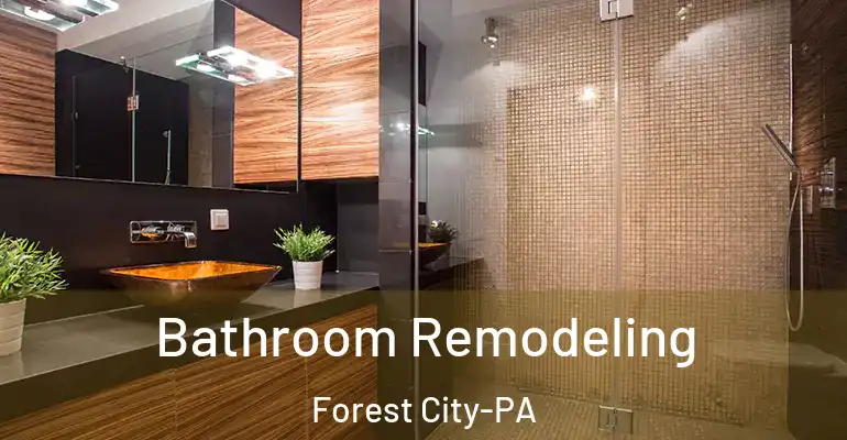 inner Bathroom imggen Bathroom Remodeling Forest City-PA