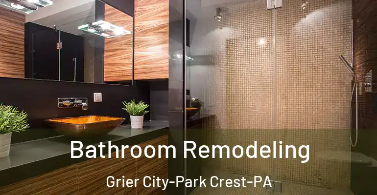 inner Bathroom imggen Bathroom Remodeling Grier City-Park Crest-PA