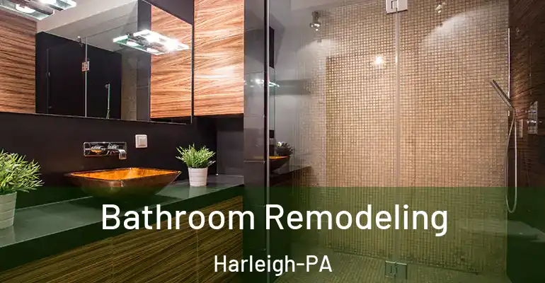 inner Bathroom imggen Bathroom Remodeling Harleigh-PA
