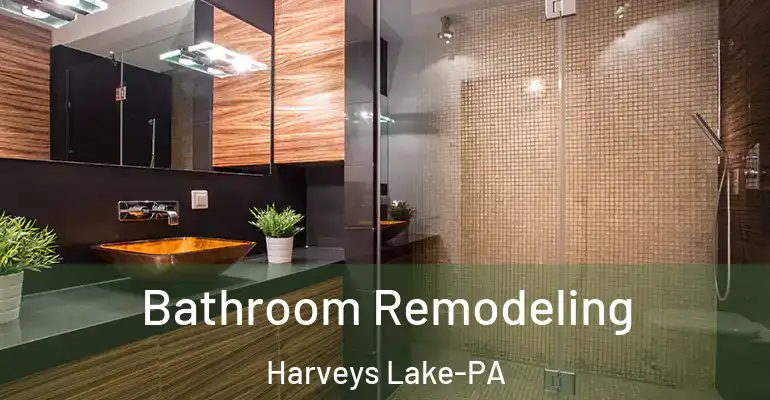 inner Bathroom imggen Bathroom Remodeling Harveys Lake-PA