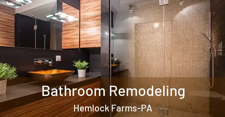 inner Bathroom imggen Bathroom Remodeling Hemlock Farms-PA