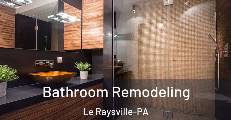 inner Bathroom imggen Bathroom Remodeling Le Raysville-PA