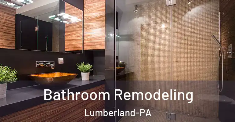inner Bathroom imggen Bathroom Remodeling Lumberland-PA