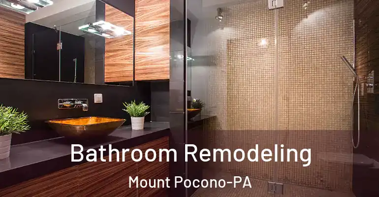 inner Bathroom imggen Bathroom Remodeling Mount Pocono-PA