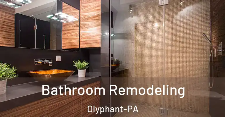 inner Bathroom imggen Bathroom Remodeling Olyphant-PA