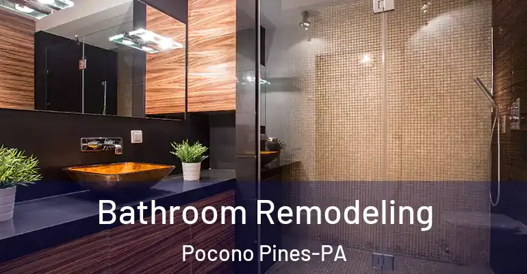 inner Bathroom imggen Bathroom Remodeling Pocono Pines-PA