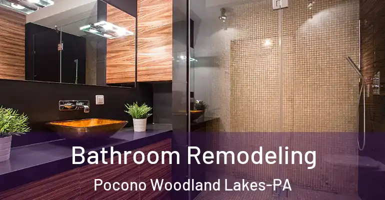 inner Bathroom imggen Bathroom Remodeling Pocono Woodland Lakes-PA