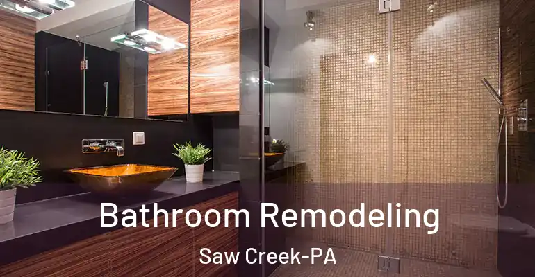 inner Bathroom imggen Bathroom Remodeling Saw Creek-PA