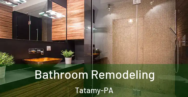 inner Bathroom imggen Bathroom Remodeling Tatamy-PA