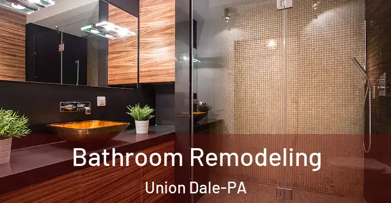 inner Bathroom imggen Bathroom Remodeling Union Dale-PA