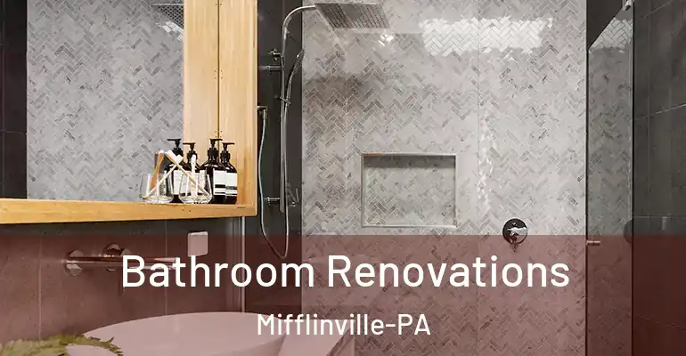 inner Bathroom imggen Bathroom Renovations Mifflinville-PA