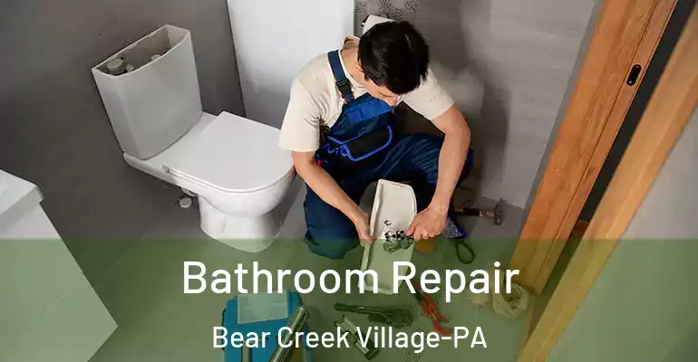 inner Bathroom imggen Bathroom Repair Bear Creek Village-PA