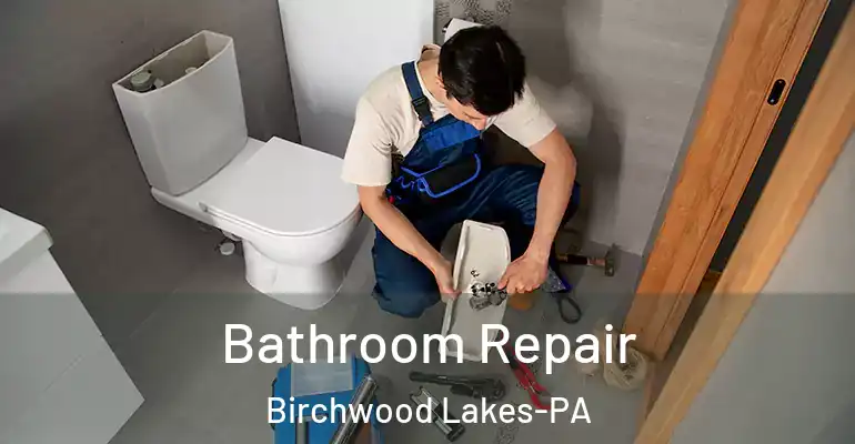inner Bathroom imggen Bathroom Repair Birchwood Lakes-PA