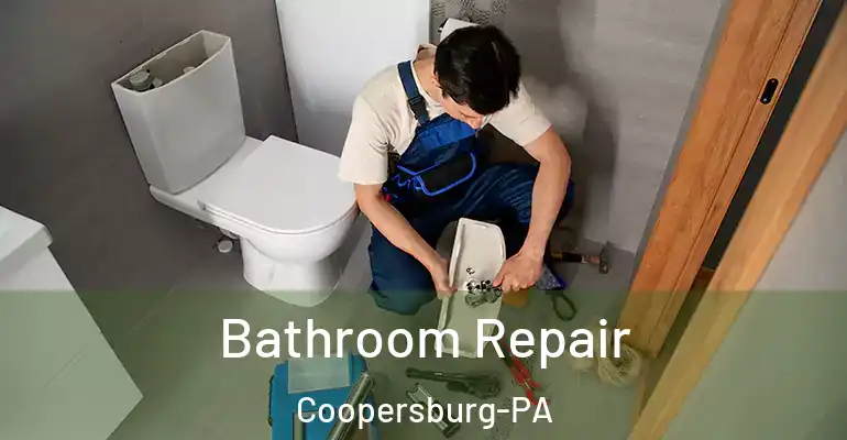 inner Bathroom imggen Bathroom Repair Coopersburg-PA