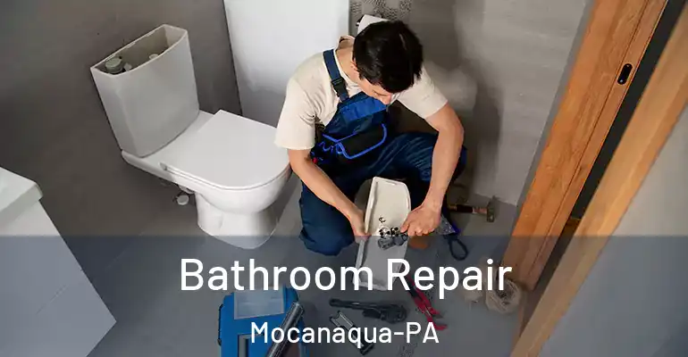 inner Bathroom imggen Bathroom Repair Mocanaqua-PA