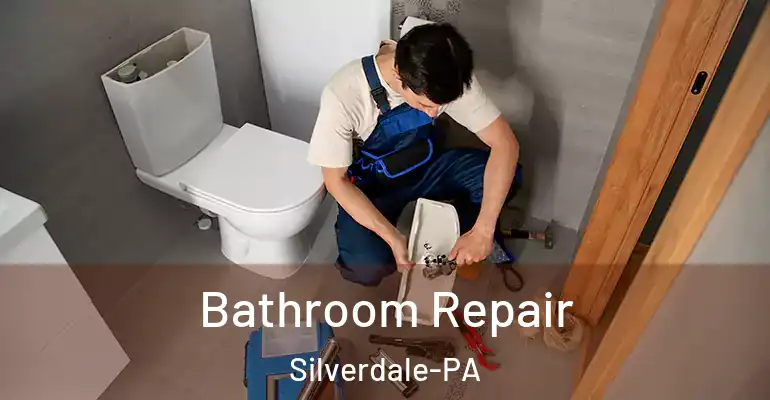 inner Bathroom imggen Bathroom Repair Silverdale-PA
