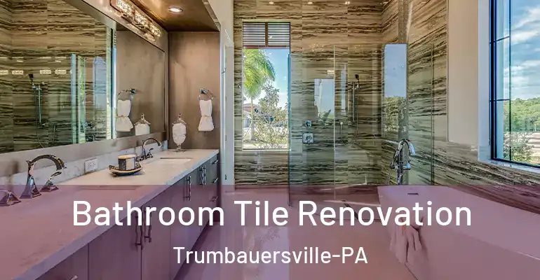 inner Bathroom imggen Bathroom Tile Renovation Trumbauersville-PA