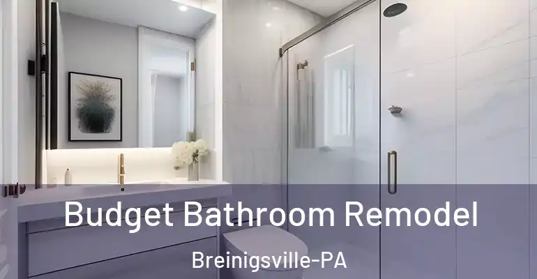 inner Bathroom imggen Budget Bathroom Remodel Breinigsville-PA
