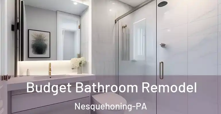 inner Bathroom imggen Budget Bathroom Remodel Nesquehoning-PA