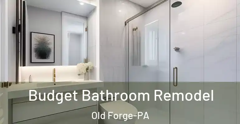 inner Bathroom imggen Budget Bathroom Remodel Old Forge-PA