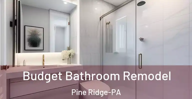 inner Bathroom imggen Budget Bathroom Remodel Pine Ridge-PA