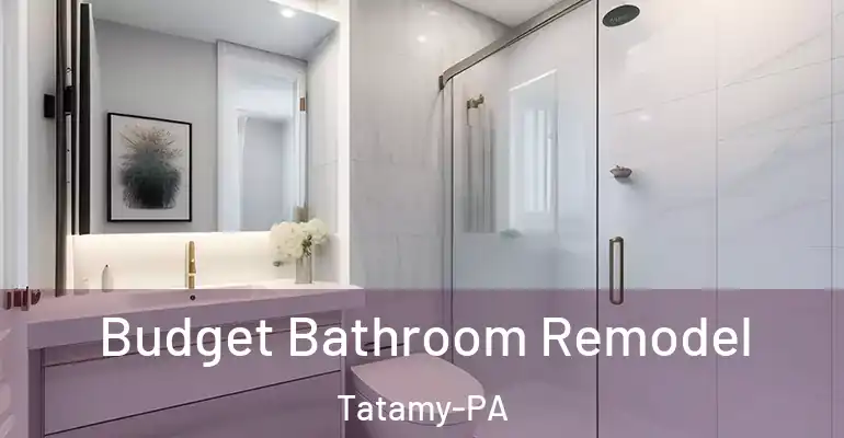 inner Bathroom imggen Budget Bathroom Remodel Tatamy-PA