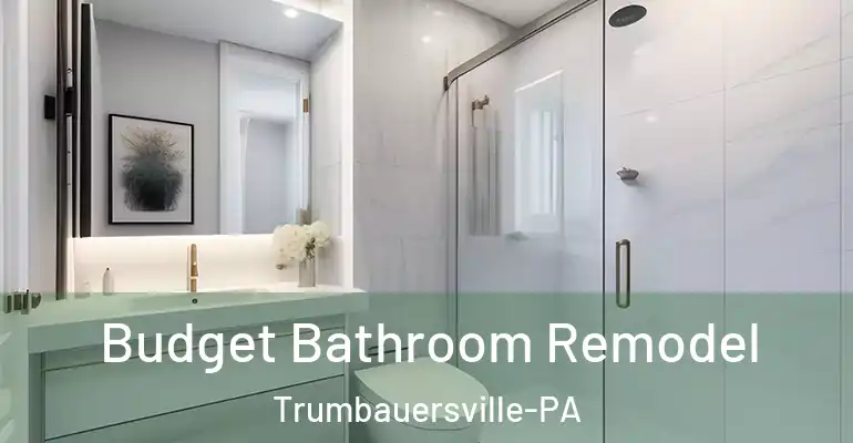 inner Bathroom imggen Budget Bathroom Remodel Trumbauersville-PA