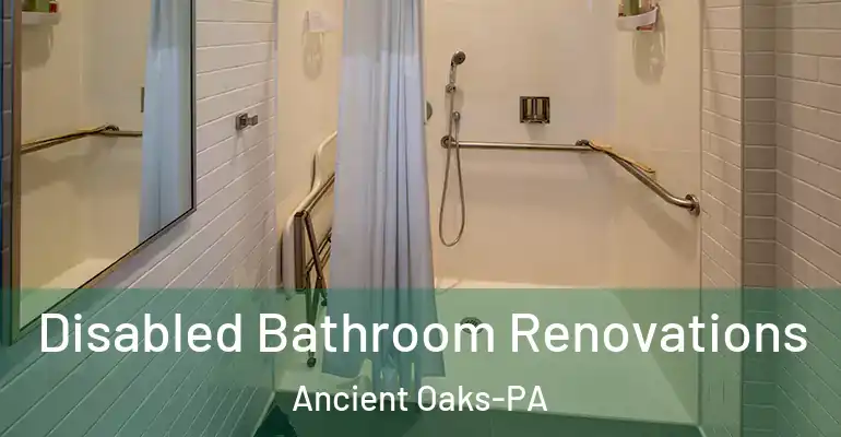 inner Bathroom imggen Disabled Bathroom Renovations Ancient Oaks-PA