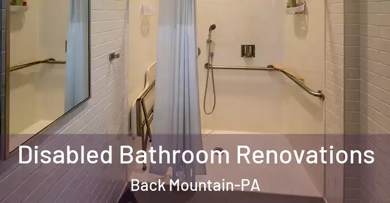 inner Bathroom imggen Disabled Bathroom Renovations Back Mountain-PA