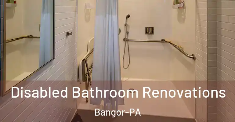 inner Bathroom imggen Disabled Bathroom Renovations Bangor-PA
