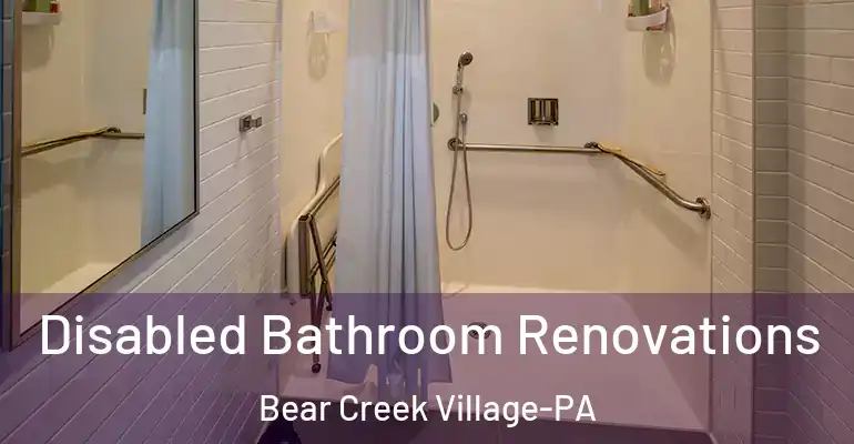 inner Bathroom imggen Disabled Bathroom Renovations Bear Creek Village-PA