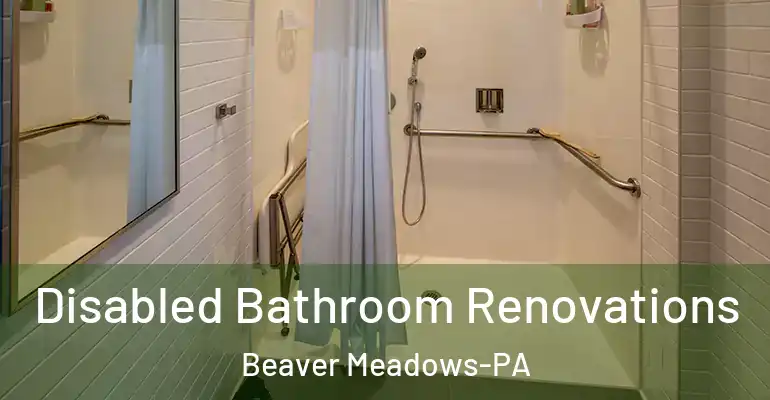 inner Bathroom imggen Disabled Bathroom Renovations Beaver Meadows-PA