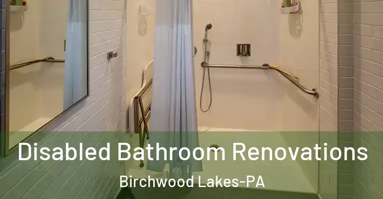 inner Bathroom imggen Disabled Bathroom Renovations Birchwood Lakes-PA