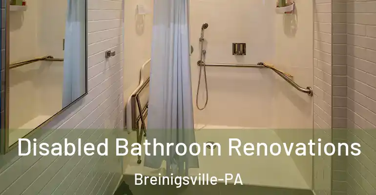 inner Bathroom imggen Disabled Bathroom Renovations Breinigsville-PA