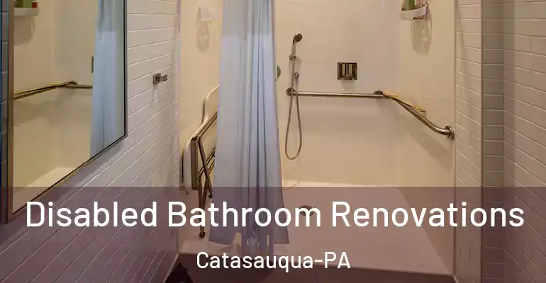 inner Bathroom imggen Disabled Bathroom Renovations Catasauqua-PA