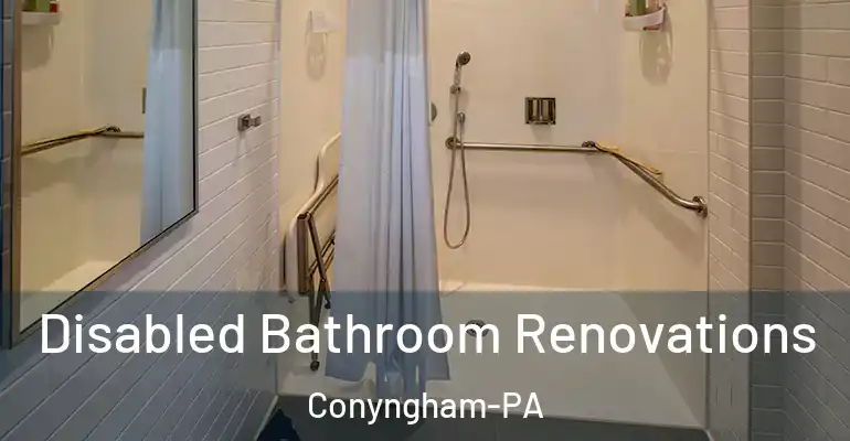 inner Bathroom imggen Disabled Bathroom Renovations Conyngham-PA