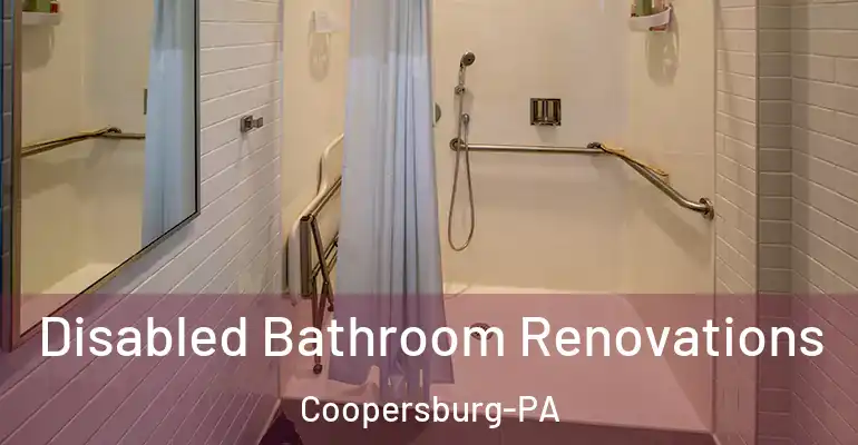 inner Bathroom imggen Disabled Bathroom Renovations Coopersburg-PA