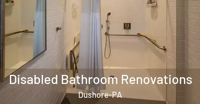 inner Bathroom imggen Disabled Bathroom Renovations Dushore-PA