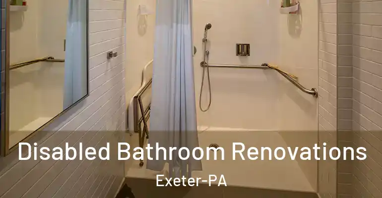 inner Bathroom imggen Disabled Bathroom Renovations Exeter-PA